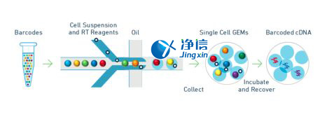 中國人自己的微流控單細(xì)胞測序儀來了！_微流控Drop-seq,微流控技術(shù)