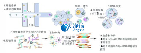 中國人自己的微流控單細(xì)胞測序儀來了！_微流控Drop-seq