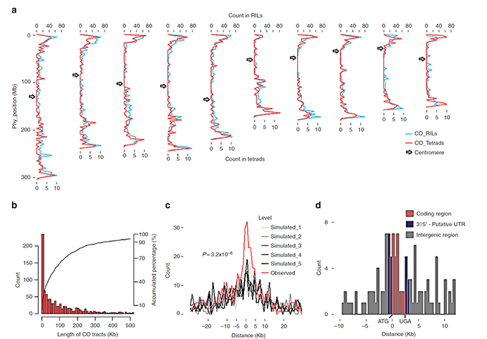 單細胞測序,單細胞測序技術,Drop-seq