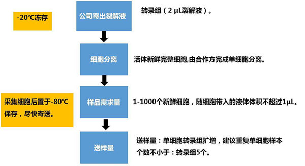 RNA-seq單細胞轉(zhuǎn)錄組測序在眼科領域中的研究應用